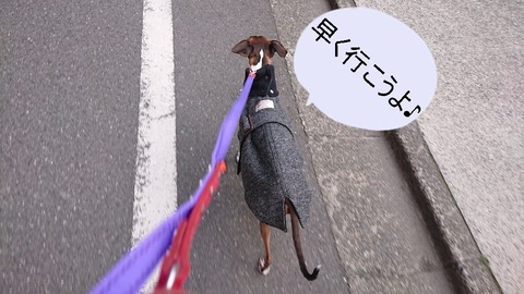 273563200_543943947218833_1288907934842368495_n