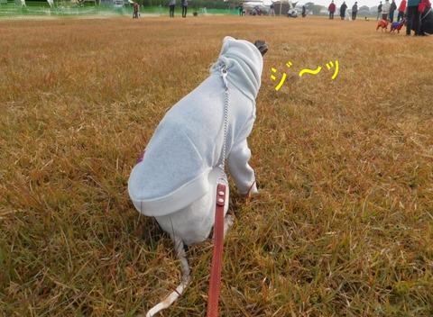 260284295_323411609597402_3140577568014554335_n