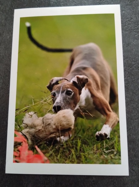 5fd2200e-d60e-4ebb-b3f5-d3679abf3e99