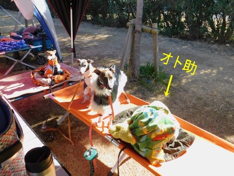 273548463_684095812941058_5127137218083995511_n