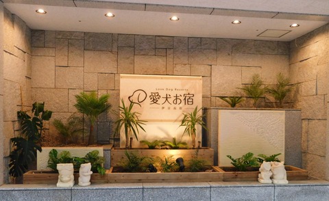 DSCN7647