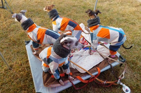 260126290_273727844687910_4071298433254664889_n