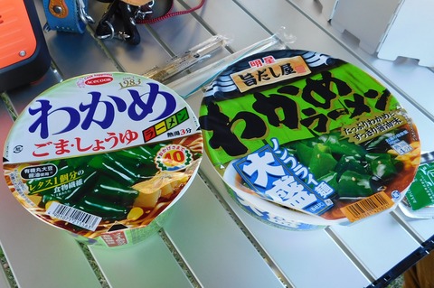 DSCN6608
