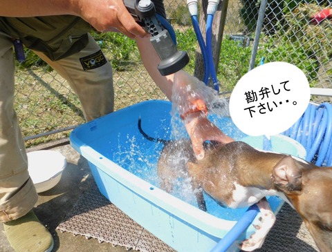 278186602_683482709371187_7521665680653868718_n