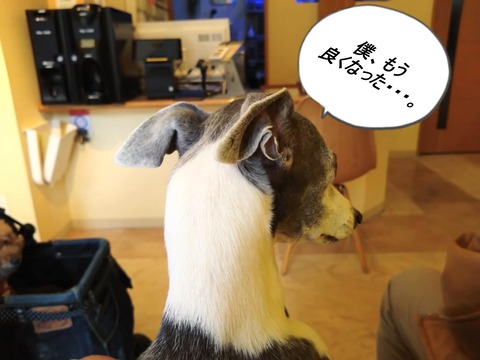 18096ebc-89e3-4c8a-9b40-25a67960b3ca