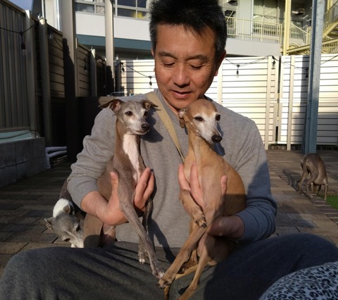 b7ae2f4c-62f6-4387-9fb6-779215ee3711