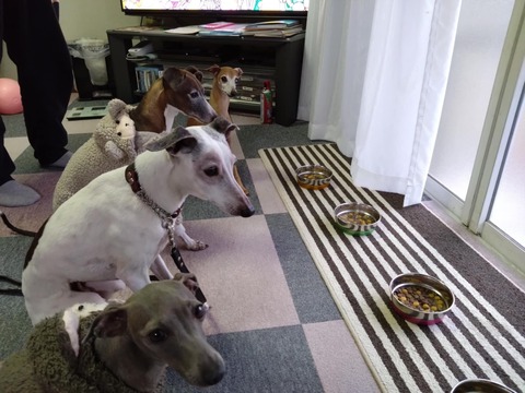 b27c80c5-1e80-471f-b78e-bb6907908b8f