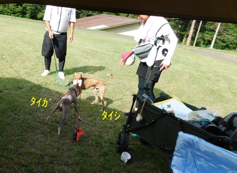 DSCN6650