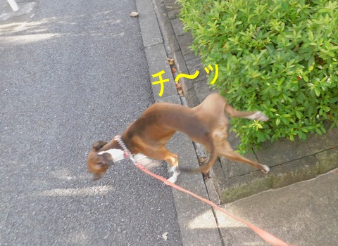 DSCN5821