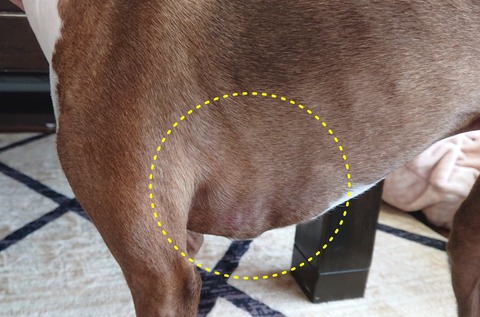 278651505_546182773741609_6789009599128837463_n