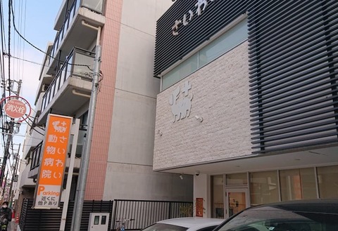 273067625_308157777832101_7351810787871326656_n