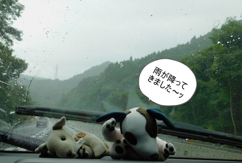 DSCN0262