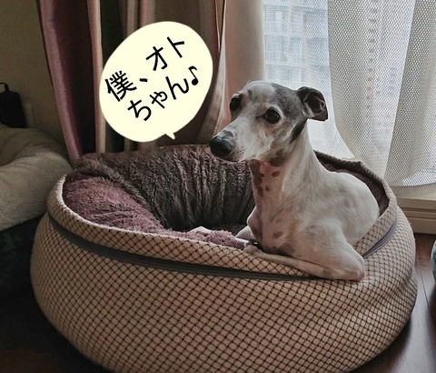 308145920_882050999426195_5588597547775498201_n