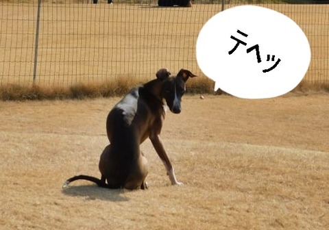 274218327_472159344414036_8555252298619731295_n