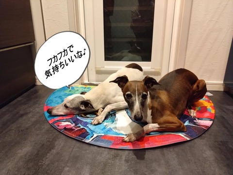 59896a89-881b-4a3b-a694-16886ec96cc3