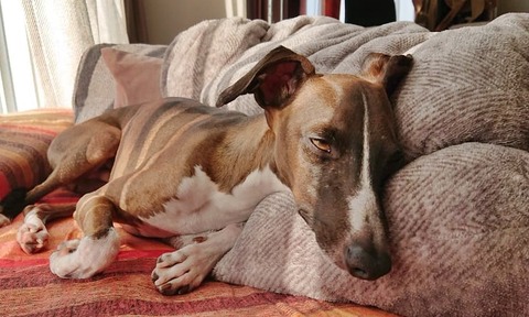 273540426_352224666710622_8825461470063457817_n