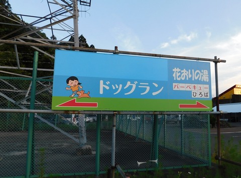 DSCN6872