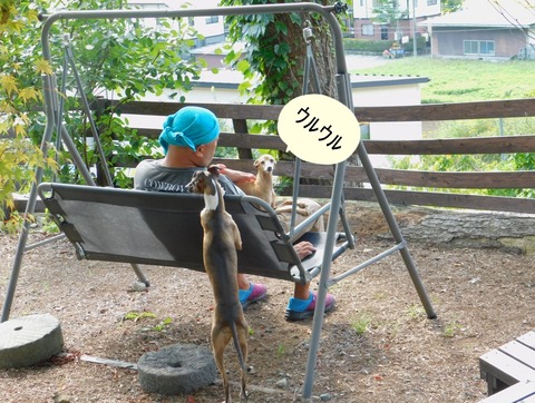 273668560_671481017641194_792481404419695581_n