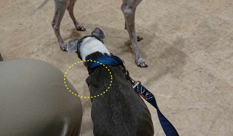 422251823_1121866945608129_1714103621084215973_n