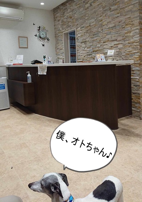 423541632_1164365398277249_965384817542650804_n