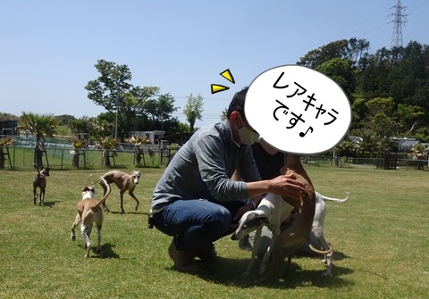 175702031_4429026637128715_5169791702241361307_n