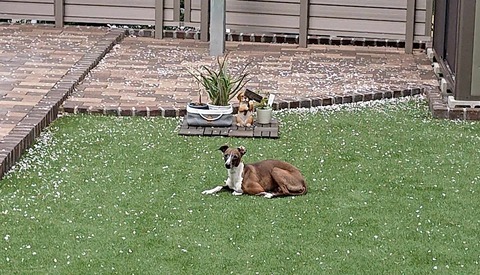 211180bf-7144-4725-a383-2f3511428ed2