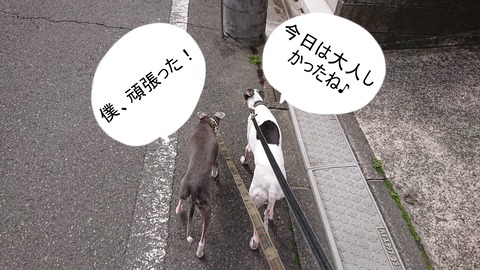 278072236_530824761768952_7609526455805574464_n - コピー