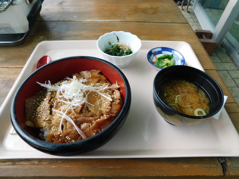 DSCN9011