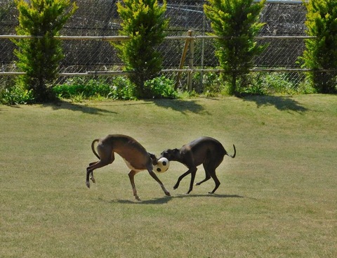 278200801_351594926791542_620700361695719026_n