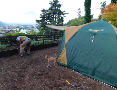 310928773_541689457958431_895645909825909538_n