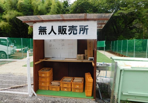 DSCN6170