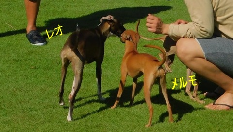 239688859_563729644815218_6261672862233408619_n