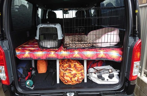 9a2dfd22-f237-440d-929a-366132ee7b8e