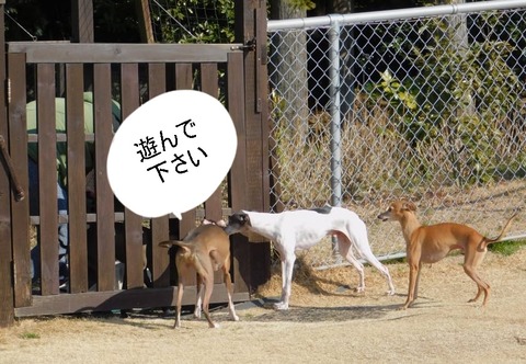 273884803_2128856000614512_9001933721829874877_n