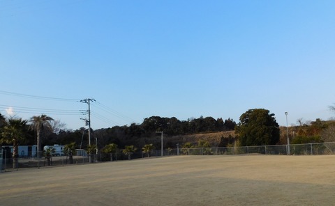 DSCN8668