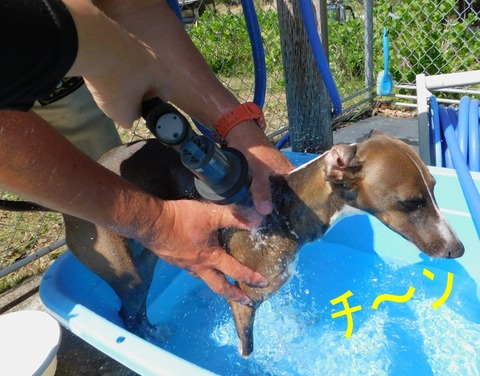 278237723_726071125083924_6127012475913702445_n