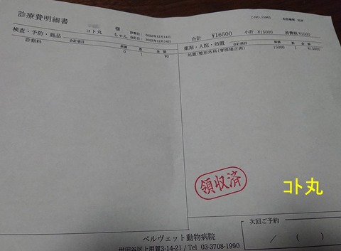 320309453_1366646994185279_1432806121283145531_n