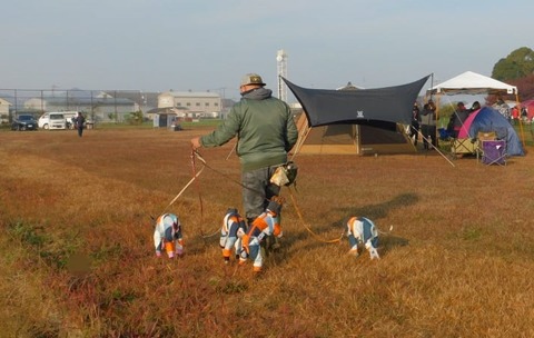 260006158_3091919351135391_2898760815999984713_n