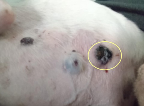 092ed623-6836-40f0-b11f-17afcb379156