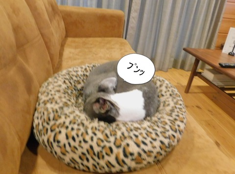 DSCN9575