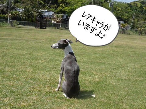 176845291_475418693665786_3754571012128555901_n