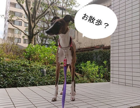 278536141_3142397312644308_6103034843114436833_n