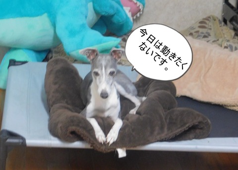 DSCN5817