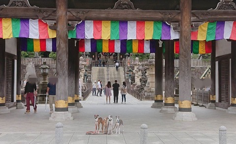 355185106_2354854124695370_7029396203396804481_n (1)