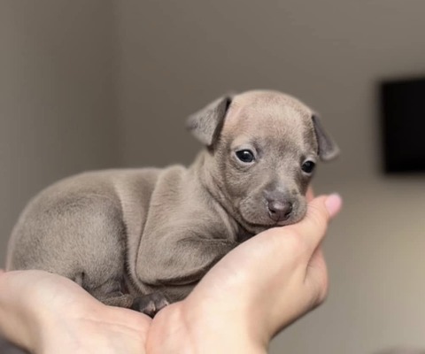 482341253_665946816112895_8230973081464774869_n