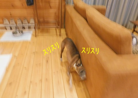 DSCN9577