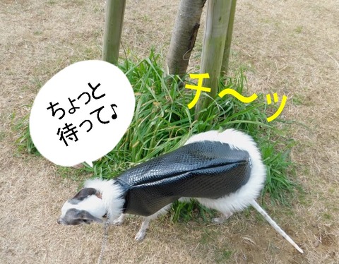 273521763_443510477510356_3874532472746415587_n