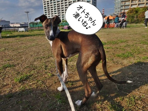 176098795_779976275975508_2194645198172647793_n