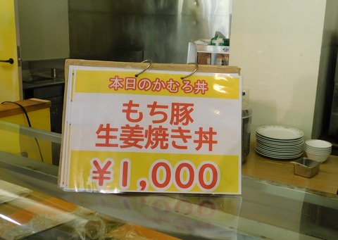 DSCN9009