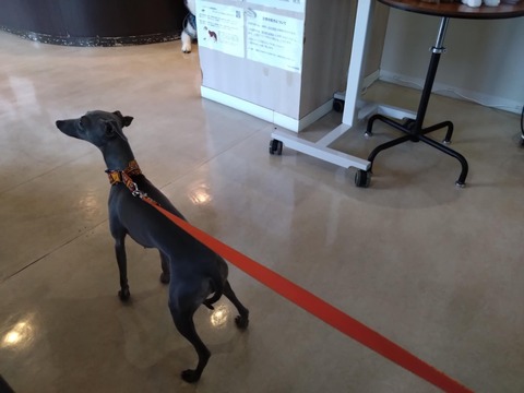 4539aa00-16b6-4cf5-a847-62580329a2b1